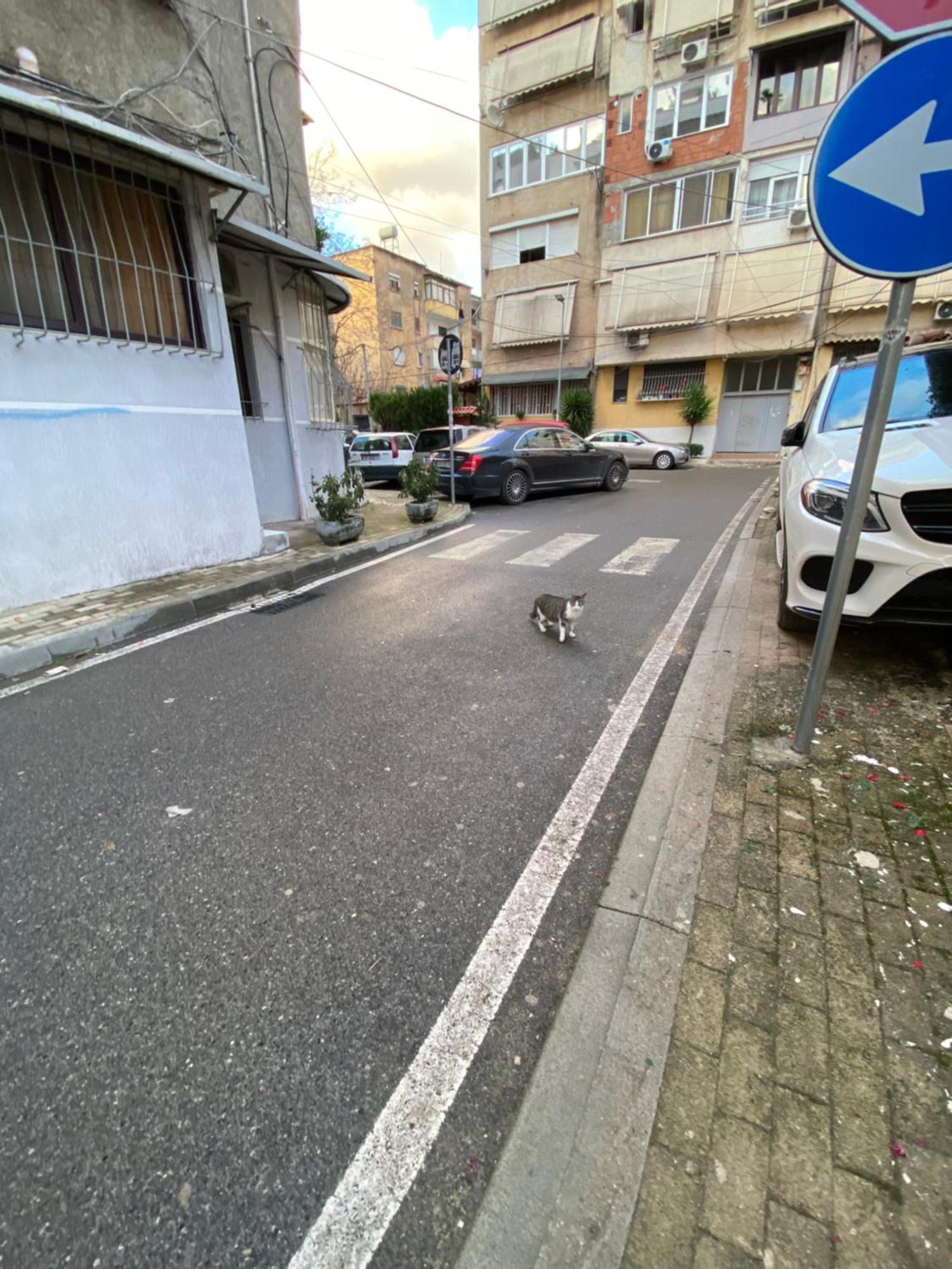 Tirana Center Apartaments エクステリア 写真